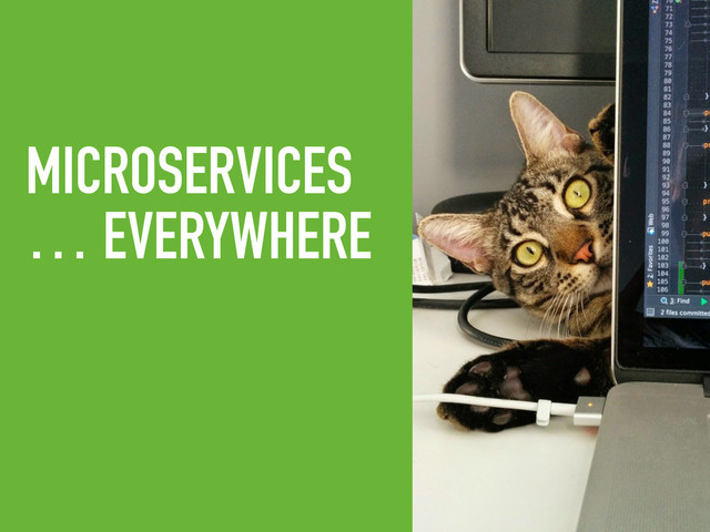 MICROSERVICES
… EVERYWHERE
