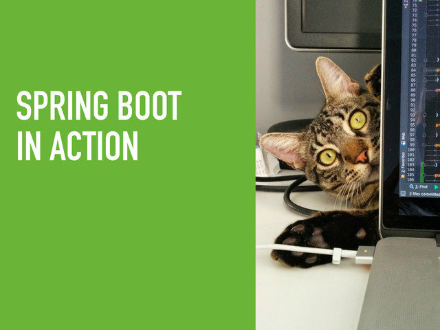SPRING BOOT
IN ACTION
