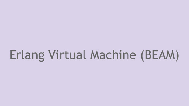 Erlang Virtual Machine (BEAM)
