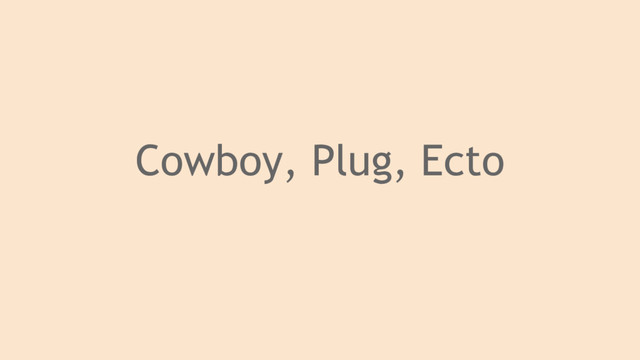 Cowboy, Plug, Ecto
