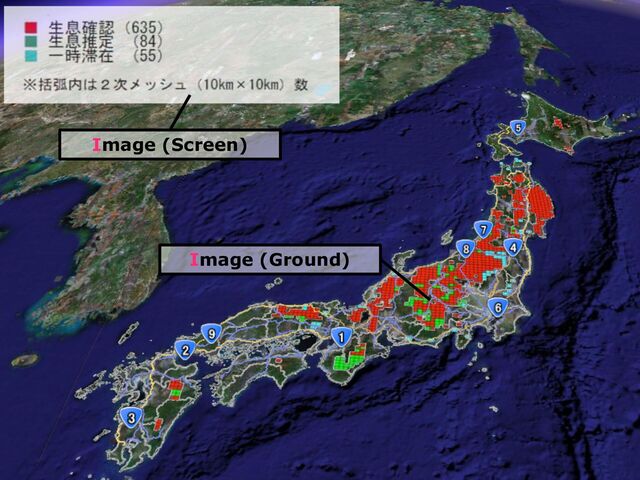 Image (Screen)
Image (Ground)

