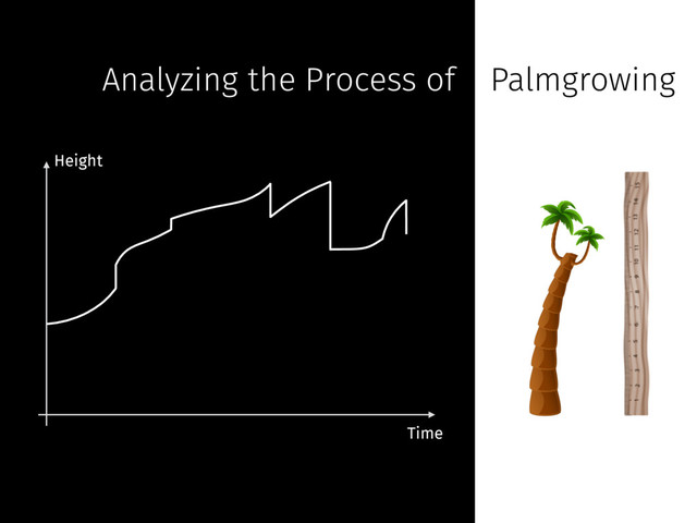 Analyzing the Process of Palmgrowing
Height
Time
