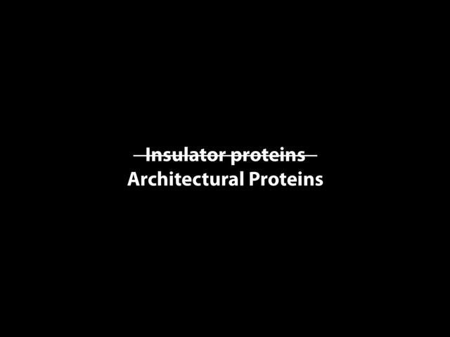 Insulator proteins
Architectural Proteins
