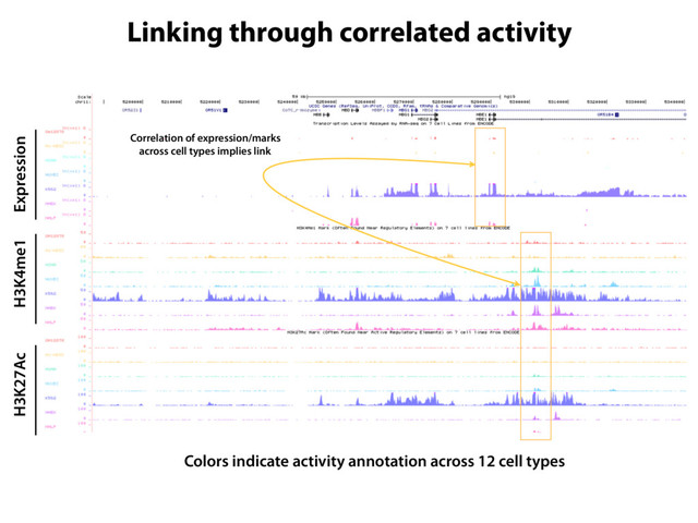 Expression
H3K4me1
H3K27Ac
Colors indicate activity annotation across 12 cell types
Correlation of expression/marks
across cell types implies link
Linking through correlated activity
