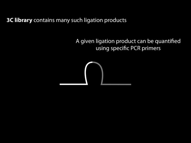 3C library contains many such ligation products
A given ligation product can be quantiﬁed
using speciﬁc PCR primers
