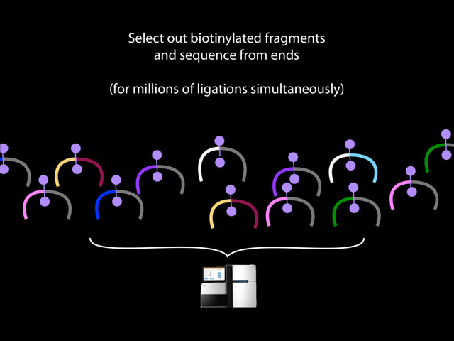 Select out biotinylated fragments
and sequence from ends
(for millions of ligations simultaneously)

