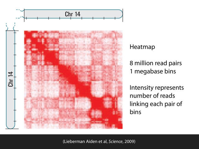 A B
Heatmap
8 million read pairs
1 megabase bins
Intensity represents
number of reads
linking each pair of
bins
(Lieberman Aiden et al, Science, 2009)
