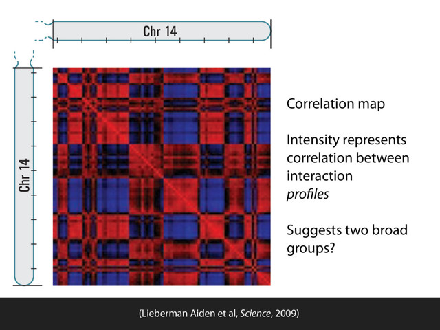 C D
(Lieberman Aiden et al, Science, 2009)
Correlation map
Intensity represents
correlation between
interaction
proﬁles
Suggests two broad
groups?
