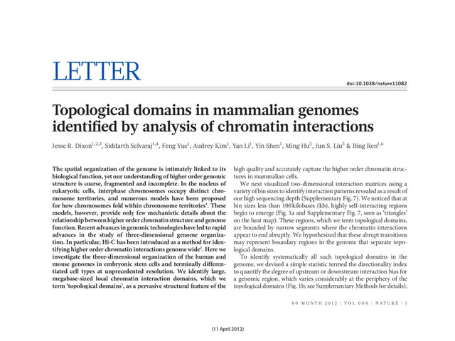 LETTER
doi:10.1038/nature11082
Topological domains in mammalian genomes
identified by analysis of chromatin interactions
Jesse R. Dixon1,2,3, Siddarth Selvaraj1,4, Feng Yue1, Audrey Kim1, Yan Li1, Yin Shen1, Ming Hu5, Jun S. Liu5 & Bing Ren1,6
The spatial organization of the genome is intimately linked to its
biological function, yet our understanding of higher order genomic
structure is coarse, fragmented and incomplete. In the nucleus of
eukaryotic cells, interphase chromosomes occupy distinct chro-
mosome territories, and numerous models have been proposed
for how chromosomes fold within chromosome territories1. These
models, however, provide only few mechanistic details about the
relationship between higher order chromatin structure and genome
function.Recentadvancesin genomic technologieshaveledtorapid
advances in the study of three-dimensional genome organiza-
tion. In particular, Hi-C has been introduced as a method for iden-
tifying higher order chromatin interactions genome wide2. Here we
investigate the three-dimensional organization of the human and
mouse genomes in embryonic stem cells and terminally differen-
tiated cell types at unprecedented resolution. We identify large,
megabase-sized local chromatin interaction domains, which we
term ‘topological domains’, as a pervasive structural feature of the
genome organization. These domains correlate with regions of the
genome that constrain the spread of heterochromatin. The domains
are stable across different cell types and highly conserved across
species, indicating that topological domains are an inherent
property of mammalian genomes. Finally, we find that the
boundaries of topological domains are enriched for the insulator
binding protein CTCF, housekeeping genes, transfer RNAs and
high quality and accurately capture the higher order chromatin struc-
tures in mammalian cells.
We next visualized two-dimensional interaction matrices using a
variety of binsizes to identify interactionpatterns revealed as a resultof
our high sequencing depth (Supplementary Fig. 7). We noticed that at
bin sizes less than 100 kilobases (kb), highly self-interacting regions
begin to emerge (Fig. 1a and Supplementary Fig. 7, seen as ‘triangles’
on the heat map). These regions, which we term topological domains,
are bounded by narrow segments where the chromatin interactions
appear to end abruptly. We hypothesized that these abrupt transitions
may represent boundary regions in the genome that separate topo-
logical domains.
To identify systematically all such topological domains in the
genome, we devised a simple statistic termed the directionality index
to quantify the degree of upstream or downstream interaction bias for
a genomic region, which varies considerably at the periphery of the
topological domains (Fig. 1b; see Supplementary Methods for details).
The directionality index was reproducible (Supplementary Table 2)
and pervasive, with 52% of the genome having a directionality
index that was not expected by random chance (Fig. 1c, false discovery
rate 5 1%). We then used a Hidden Markov model (HMM) based on
the directionality index to identify biased ‘states’ and therefore infer
the locations of topological domains in the genome (Fig. 1a; see
Supplementary Methods for details). The domains defined by HMM
investigate the three-dimensional organization of the human and
mouse genomes in embryonic stem cells and terminally differen-
tiated cell types at unprecedented resolution. We identify large,
megabase-sized local chromatin interaction domains, which we
term ‘topological domains’, as a pervasive structural feature of the
genome organization. These domains correlate with regions of the
genome that constrain the spread of heterochromatin. The domains
are stable across different cell types and highly conserved across
species, indicating that topological domains are an inherent
property of mammalian genomes. Finally, we find that the
boundaries of topological domains are enriched for the insulator
binding protein CTCF, housekeeping genes, transfer RNAs and
short interspersed element (SINE) retrotransposons, indicating
that these factors may have a role in establishing the topological
domain structure of the genome.
To study chromatin structure in mammalian cells, we determined
genome-wide chromatin interaction frequencies by performing the
Hi-C experiment2 in mouse embryonic stem (ES) cells,human ES cells,
and human IMR90 fibroblasts. Together with Hi-C data for the mouse
cortex generated in a separate study (Y. Shen et al., manuscript in
preparation), we analysed over 1.7-billion read pairs of Hi-C data
corresponding to pluripotent and differentiated cells (Supplemen-
tary Table 1). We normalized the Hi-C interactions for biases in the
data (Supplementary Figs 1 and 2)3. To validate the quality of our Hi-C
data, we compared the data with previous chromosome conformation
capture (3C), chromosome conformation capture carbon copy (5C),
and fluorescence in situ hybridization (FISH) results4–6. Our IMR90
Hi-C data show a high degree of similarity when compared to a previ-
ously generated5Cdatasetfromlungfibroblasts(SupplementaryFig.4).
In addition, our mouse ES cell Hi-C data correctly recovered a previ-
ously described cell-type-specific interaction at the Phc1 gene5
(Supplementary Fig. 5). Furthermore, the Hi-C interaction frequencies
in mouse ES cells are well-correlated with the mean spatial distance
separating six loci as measured by two-dimensional FISH6
(Supplementary Fig. 6), demonstrating that the normalized Hi-C data
can accurately reproduce the expected nuclear distance using an inde-
pendent method. These results demonstrate that our Hi-C data are of
To identify systematically all such topological domains in the
genome, we devised a simple statistic termed the directionality index
to quantify the degree of upstream or downstream interaction bias for
a genomic region, which varies considerably at the periphery of the
topological domains (Fig. 1b; see Supplementary Methods for details).
The directionality index was reproducible (Supplementary Table 2)
and pervasive, with 52% of the genome having a directionality
index that was not expected by random chance (Fig. 1c, false discovery
rate 5 1%). We then used a Hidden Markov model (HMM) based on
the directionality index to identify biased ‘states’ and therefore infer
the locations of topological domains in the genome (Fig. 1a; see
Supplementary Methods for details). The domains defined by HMM
were reproducible between replicates (Supplementary Fig. 8).
Therefore, we combined the data from the HindIII replicates and
identified 2,200 topological domains in mouse ES cells with a median
size of 880 kb that occupy ,91% of the genome (Supplementary
Fig. 9). As expected, the frequency of intra-domain interactions is
higher than inter-domain interactions (Fig. 1d, e). Similarly, FISH
probes6 in the same topological domain (Fig. 1f) are closer in nuclear
space than probes in different topological domains (Fig. 1g), despite
similar genomic distances between probe pairs (Fig. 1h, i). These find-
ings are best explained bya model of the organizationof genomic DNA
into spatial modules linked by short chromatin segments. We define
the genomic regions between topological domains as either ‘topo-
logical boundary regions’ or ‘unorganized chromatin’, depending on
their sizes (Supplementary Fig. 9).
We next investigated the relationship between the topological
domains and the transcriptional control process. The Hoxa locus is
separated into two compartments by an experimentally validated insu-
lator4,7,8, which we observed corresponds to a topological domain
boundary in both mouse (Fig. 1a) and human (Fig. 2a). Therefore,
we hypothesized that the boundaries of the topological domains might
correspond to insulator or barrier elements.
Many known insulator or barrier elements are bound by the zinc-
finger-containing protein CTCF (refs 9–11). We see a strong enrich-
ment of CTCF at the topological boundary regions (Fig. 2b and
Supplementary Fig. 10), indicating that topological boundary regions
1Ludwig Institute for Cancer Research, 9500 Gilman Drive, La Jolla, California 92093, USA. 2Medical Scientist Training Program, University of California, San Diego, La Jolla, California 92093, USA.
3Biomedical Sciences Graduate Program, University of California, San Diego, La Jolla, California 92093, USA. 4Bioinformatics and Systems Biology Graduate Program, University of California, San Diego, La
Jolla, California 92093, USA. 5Department of Statistics, Harvard University, 1 Oxford Street, Cambridge, Massachusetts 02138, USA. 6University of California, San Diego School of Medicine, Department of
Cellular and Molecular Medicine, Institute of Genomic Medicine, UCSD Moores Cancer Center, 9500 Gilman Drive, La Jolla, California 92093, USA.
0 0 M O N T H 2 0 1 2 | V O L 0 0 0 | N A T U R E | 1
Macmillan Publishers Limited. All rights reserved
©2012
(11 April 2012)
