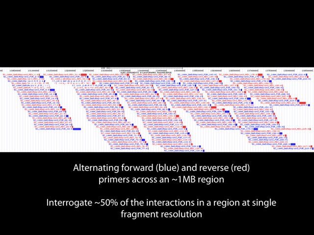Universal primer
Universal primer
Alternating forward (blue) and reverse (red)
primers across an ~1MB region
Interrogate ~50% of the interactions in a region at single
fragment resolution
