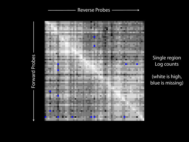 Reverse Probes
Forward Probes
Single region
Log counts
(white is high,
blue is missing)
