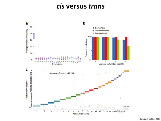 Kaplan & Dekker 2013
cis versus trans
