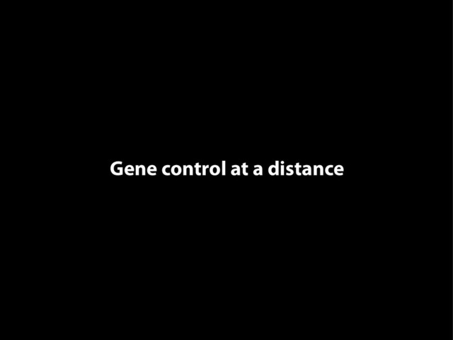 Gene control at a distance
