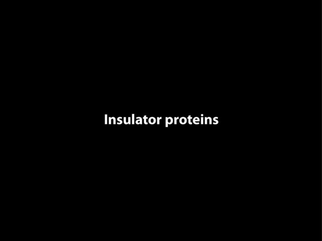 Insulator proteins
