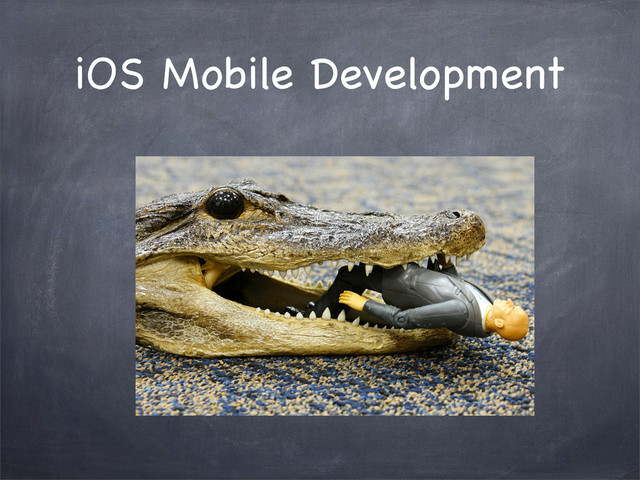 iOS Mobile Development

