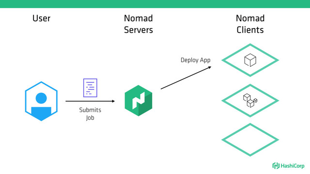 User Nomad
Servers
Submits
Job
Nomad
Clients
Deploy App
