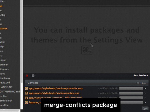 merge-conﬂicts package
