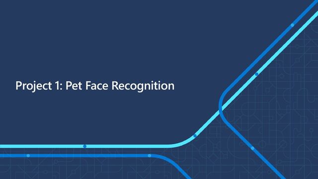 Project 1: Pet Face Recognition
