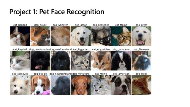 Project 1: Pet Face Recognition
