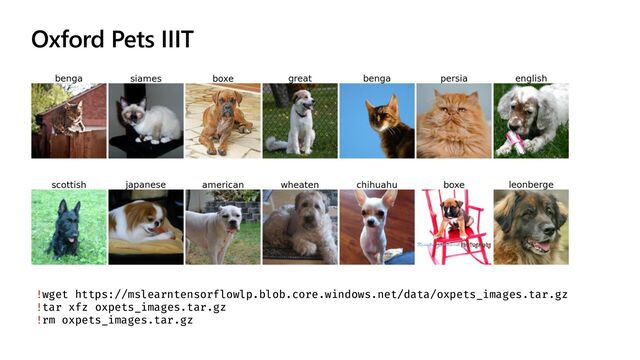 Oxford Pets IIIT
!wget https://mslearntensorflowlp.blob.core.windows.net/data/oxpets_images.tar.gz
!tar xfz oxpets_images.tar.gz
!rm oxpets_images.tar.gz
