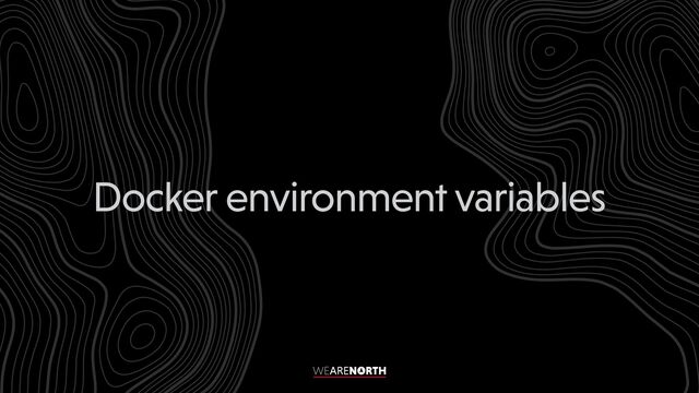 Docker environment variables
