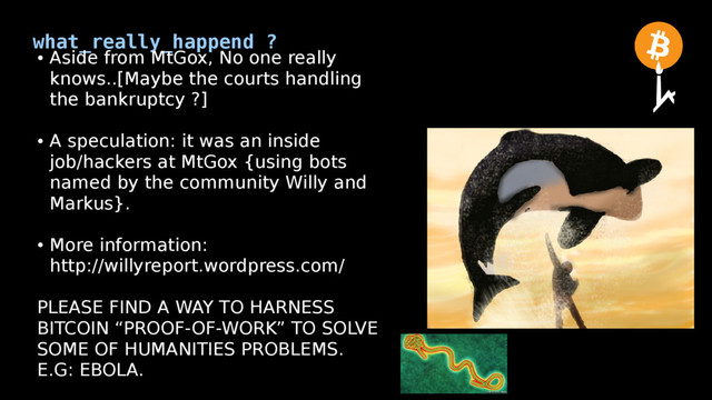what_really_happend ?
●
Aside from MtGox, No one really
knows..[Maybe the courts handling
the bankruptcy ?]
●
A speculation: it was an inside
job/hackers at MtGox {using bots
named by the community Willy and
Markus}.
●
More information:
http://willyreport.wordpress.com/
PLEASE FIND A WAY TO HARNESS
BITCOIN “PROOF-OF-WORK” TO SOLVE
SOME OF HUMANITIES PROBLEMS.
E.G: EBOLA.
