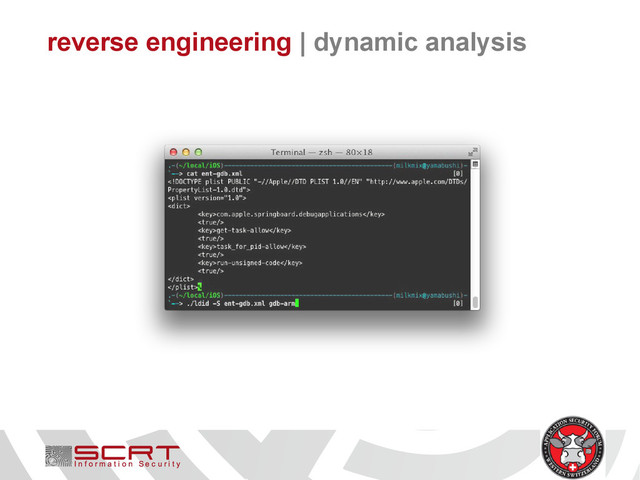 reverse engineering | dynamic analysis
