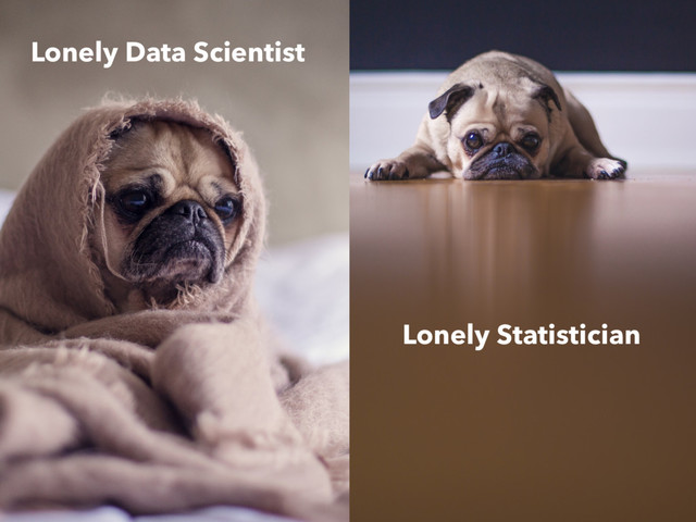 Lonely Statistician
Lonely Data Scientist
