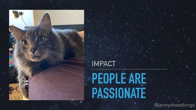 PEOPLE ARE
PASSIONATE
IMPACT
@jennydoesthings

