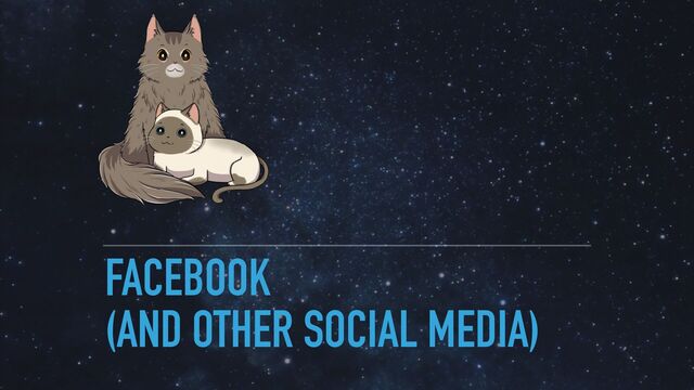 FACEBOOK


(AND OTHER SOCIAL MEDIA)

