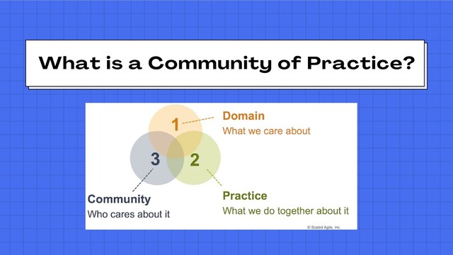 What is a Community of Practice?
