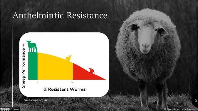 % Resistant Worms
Sheep Performance →
