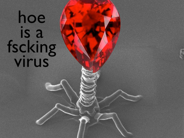 hoe
is a
fscking
virus
