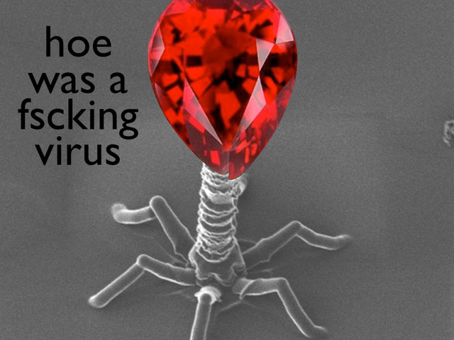 hoe
was a
fscking
virus

