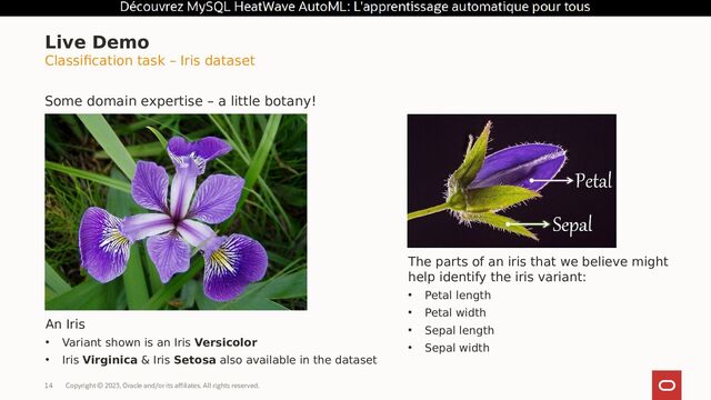 Copyright © 2023, Oracle and/or its affiliates. All rights reserved.
14
Classification task – Iris dataset
Some domain expertise – a little botany!
Live Demo
An Iris
• Variant shown is an Iris Versicolor
• Iris Virginica & Iris Setosa also available in the dataset
The parts of an iris that we believe might
help identify the iris variant:
• Petal length
• Petal width
• Sepal length
• Sepal width
