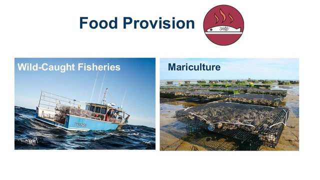 Food Provision
Wild-Caught Fisheries Mariculture
