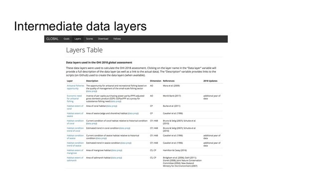 Intermediate data layers

