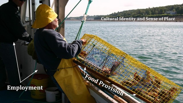 Employment
Cultural Identity and Sense of Place
Food Provision

