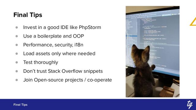 Final Tips
Final Tips
● Invest in a good IDE like PhpStorm
● Use a boilerplate and OOP
● Performance, security, i18n
● Load assets only where needed
● Test thoroughly
● Don’t trust Stack Overﬂow snippets
● Join Open-source projects / co-operate

