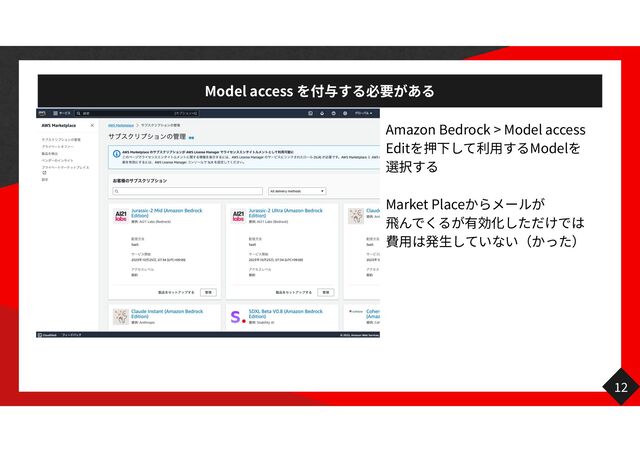 Model access
Amazon Bedrock > Model access
Edit
用
Model
Market Place
飛 用 生
12
