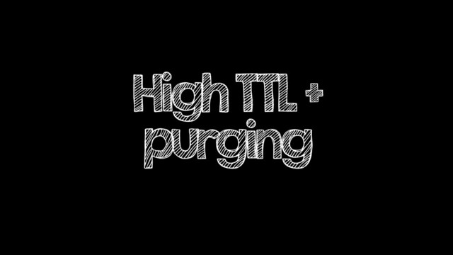 High TTL +
purging
