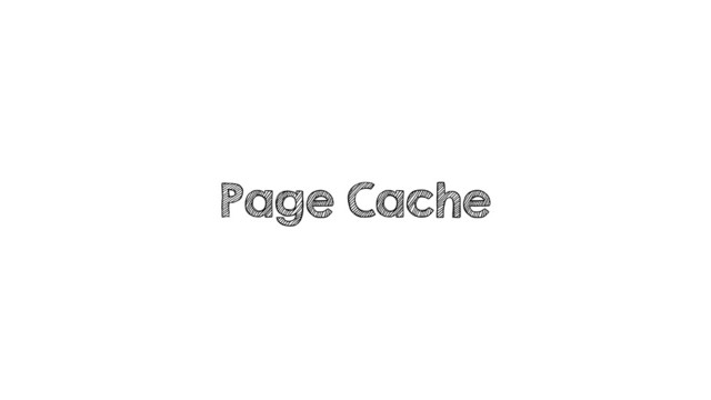 Page Cache
