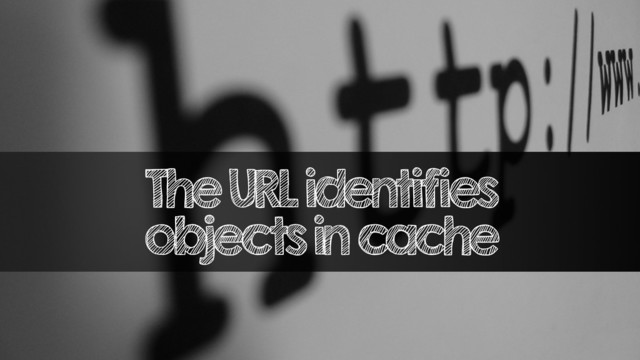 The URL identifies
objects in cache

