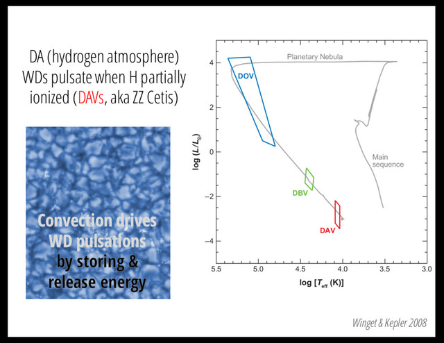 DA (hydrogen atmosphere)
WDs pulsate when H partially
ionized (DAVs, aka ZZ Cetis)
in Figure 3. The pulsating pre-white dwarf PG 1159 stars, the DOVs, around 75,
170,000 K have the highest number of detected modes. The ﬁrst class of pulsating st
5.5 5.0 4.5
Planetary Nebula
Main
sequence
DOV
DBV
DAV
4.0 3.5 3.0
log [T
eff
(K)]
4
2
0
–2
–4
log (L/L )
Figure 3
A 13-Gyr isochrone with z = 0.019 from Marigo et al. (2007), on which we have drawn the obser
locations of the instability strips, following the nonadiabatic calculations of C´
orsico, Althaus & Mi
Bertolami (2006) for the DOVs, the pure He ﬁts to the observations of Beauchamp et al. (1999) fo
DBVs, and the observations of Gianninas, Bergeron & Fontaine (2006) and Castanheira et al. (200
Annu. Rev. Astro. Astrophys. 2008.46:157-199. Downloa
by University of Texas - Austin on 01/28/0
Winget & Kepler 2008
