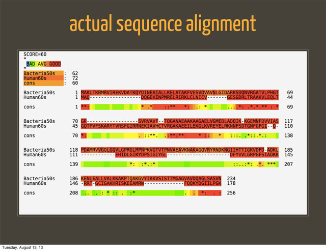 actual sequence alignment
Tuesday, August 13, 13
