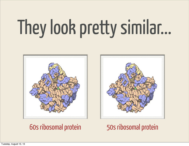 They look pretty similar...
60s ribosomal protein 50s ribosomal protein
Tuesday, August 13, 13
