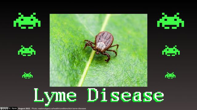 Lyme Disease
Lyme Disease
August 2022. Photo: readersdigest.ca/health/conditions/tick-borne-diseases
