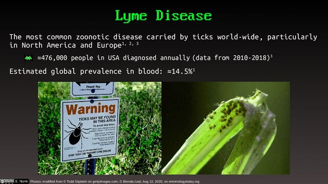 Lyme Disease
The most common zoonotic disease carried by ticks world-wide, particularly
in North America and Europe1, 2, 3
– ≈476,000 people in USA diagnosed annually (data from 2010-2018)3
Estimated global prevalence in blood: ≈14.5%1
Photos: modified from © Todd Gipstein on gettyimages.com, © Brenda Leal, Aug 13, 2020, on entomologytoday.org
