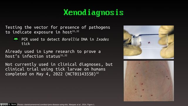 Xenodiagnosis
Testing the vector for presence of pathogens
to indicate exposure in host31,32
– PCR used to detect Borellia DNA in Ixodes
tick
Already used in Lyme research to prove a
host’s infection status31,32
Not currently used in clinical diagnoses, but
clinical trial using tick larvae on humans
completed on May 4, 2022 (NCT01143558)32
Photos: danielcameronmd.com/test-lyme-disease-using-tick, Marques et al., 2014, Figure 1.

