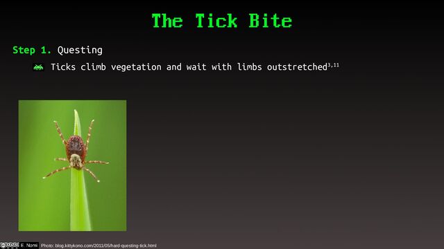 The Tick Bite
Step 1. Questing
– Ticks climb vegetation and wait with limbs outstretched3,11
Photo: blog.kittykono.com/2011/05/hard-questing-tick.html

